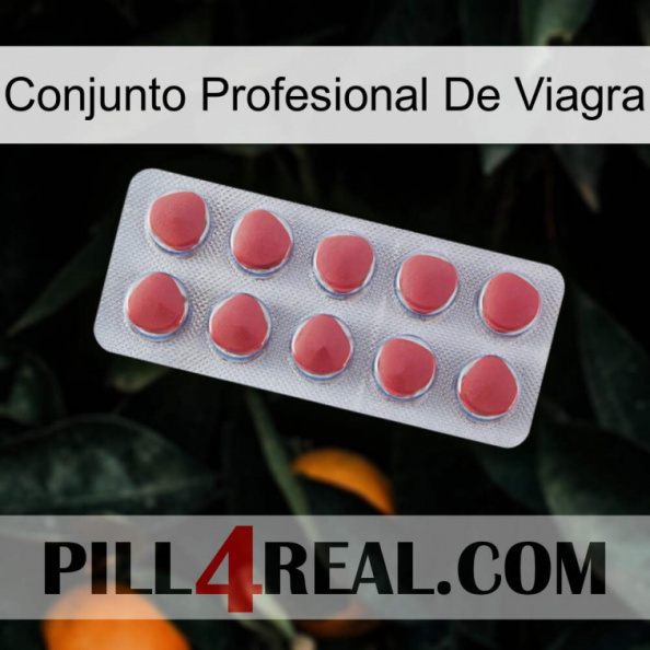 Viagra Professional Set 18.jpg